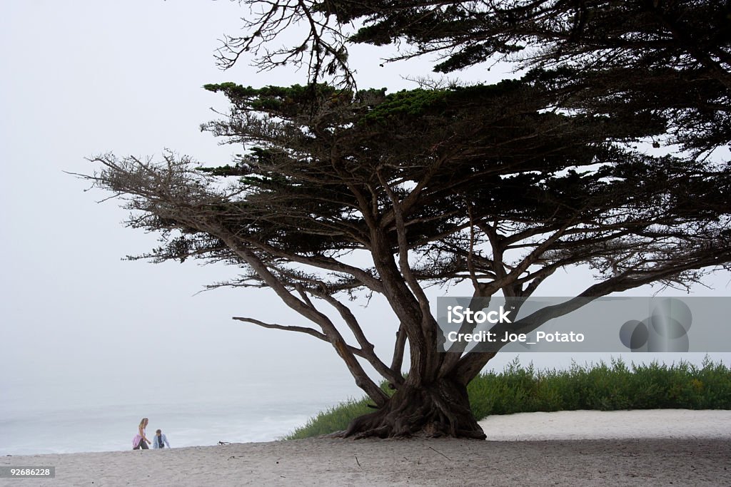 Passeio em Carmel com nevoeiroweather forecast dia - Royalty-free Andar Foto de stock