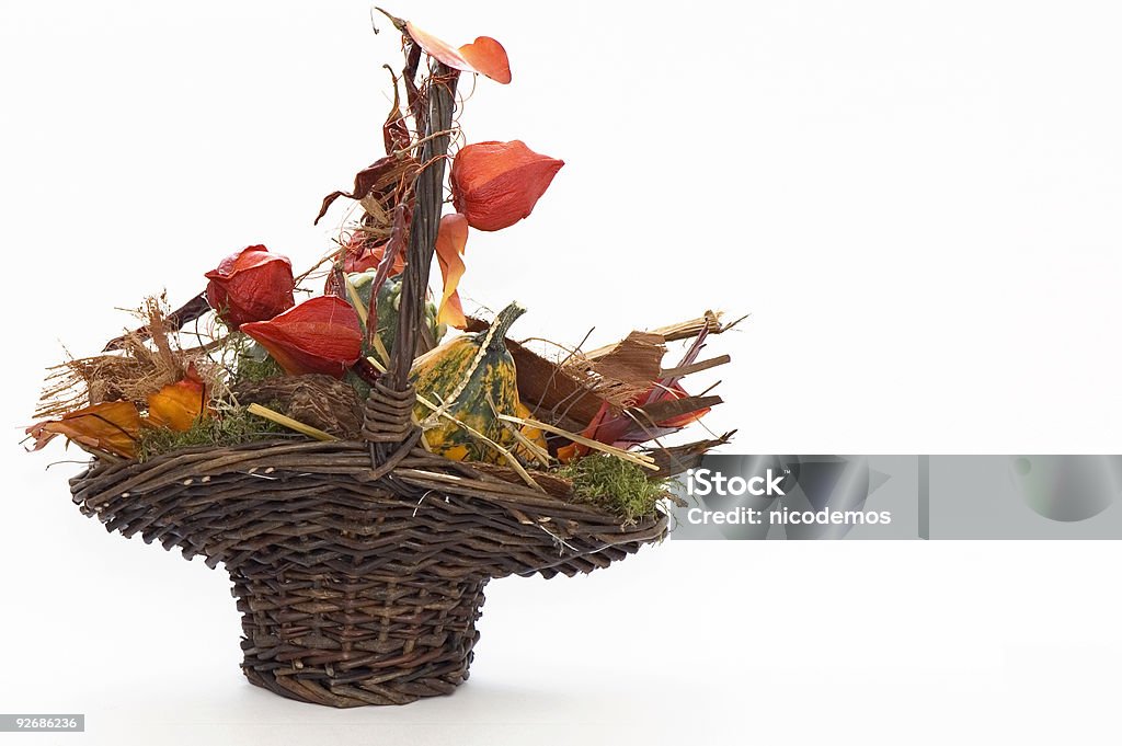 Herbst-Korb - Lizenzfrei Blatt - Pflanzenbestandteile Stock-Foto