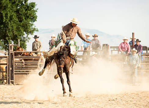 Utah Cowboy On A Tough Ride - Bronc Bustin At The Rodeo.