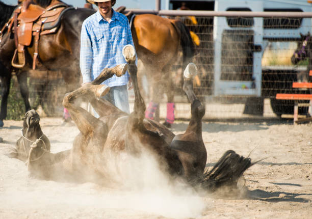 istock Cowboy Watching His Horse Have A Dust Bath 926866314