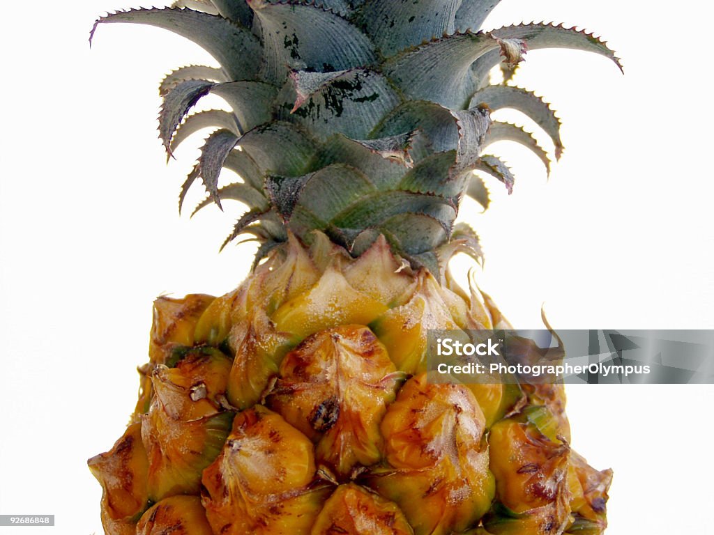 ananas - Zbiór zdjęć royalty-free (Ananas)
