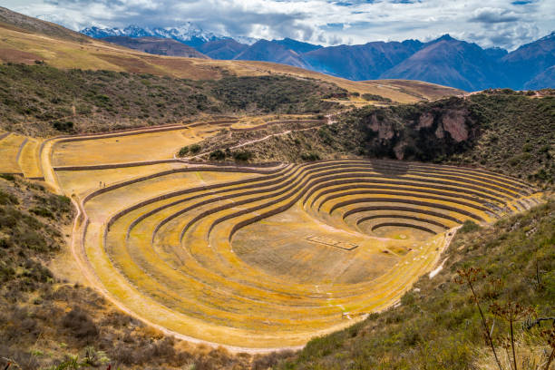 istock Inca agricultural terraces 926869952