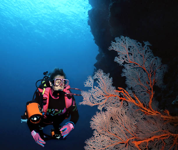 istock Woman Diver and Sea Fan 92687512