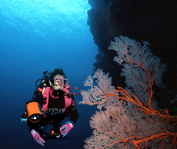 Woman Diver and Sea Fan  coral gorgonian coral hydra reef stock pictures, royalty-free photos & images