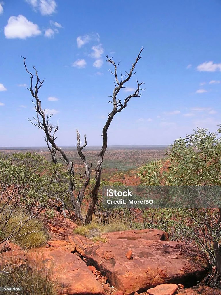 Outback australiano paisaje rojo Centre nadie - Foto de stock de Aire libre libre de derechos