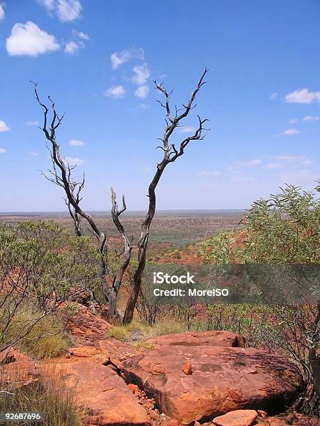 Outback Australiano Paisaje Rojo Centre Nadie Foto de stock y más banco de imágenes de Aire libre - Aire libre, Aislado, Australia