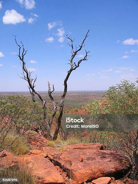 Photo libre de droit de Loutback Australien Paysage Rouge Centre Personne banque d'images et plus d'images libres de droit de Arbre - Arbre, Australie, Aventure