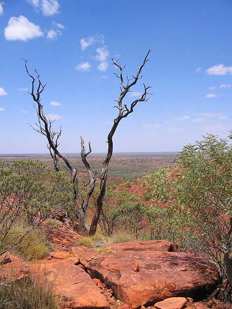 istock Australian Outback Landscape Red Centre Nobody 92687696