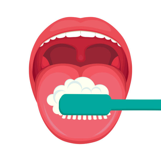 illustrazioni stock, clip art, cartoni animati e icone di tendenza di igiene della lingua, spazzola e spazzolino da denti. cure dentistiche. denti bianchi puliti - healthy lifestyle human teeth adult brushing