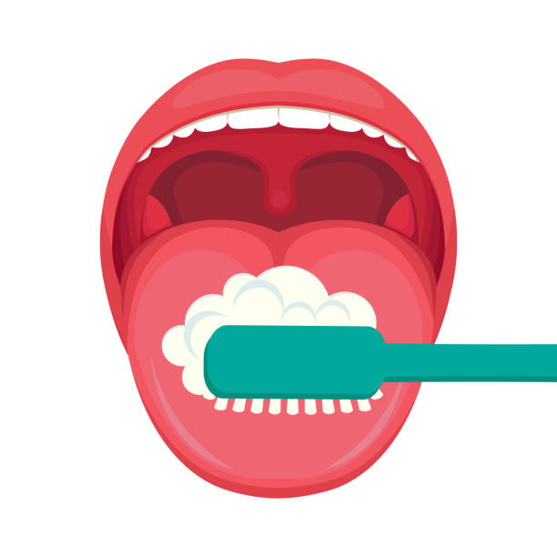 ilustrações, clipart, desenhos animados e ícones de higiene da língua, escova e escova de dentes. cuidados dentários. limpar os dentes brancos - brushing teeth human teeth women cleaning