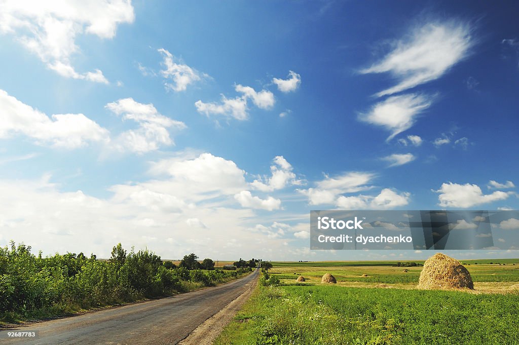 Nublado paisaje con road - Foto de stock de Agricultura libre de derechos