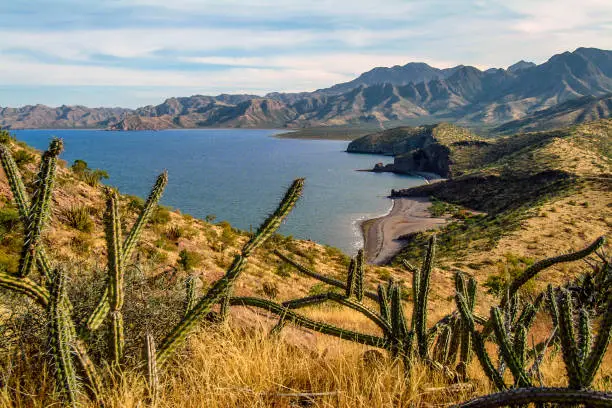 Sonoran Desert landscape along the southern Baja Peninsula and the Sea of Cortez. Baja California Sur, Mexico.