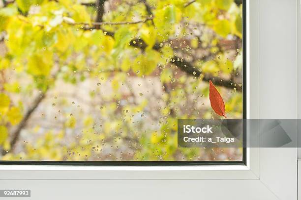 Fenster Herbst Stockfoto und mehr Bilder von Abstrakt - Abstrakt, Ahorn, Ast - Pflanzenbestandteil