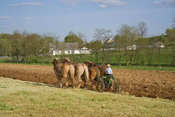 An Amish boy plowing with horses in Lancaster County,Pennsylvania.
