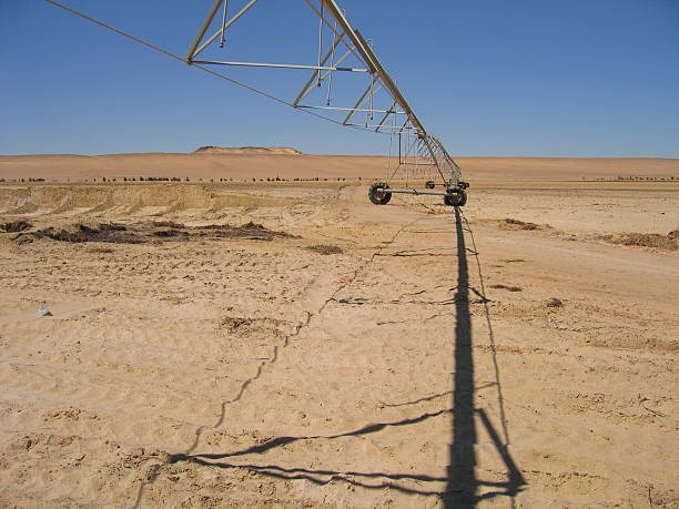 istock Irrigation in the Desert 92688374