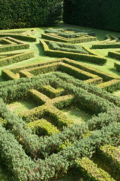 istock Knot Garden, Antony House 92688800