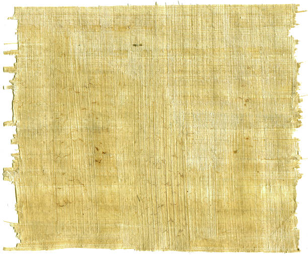 paper texture 4 - papyrus stock photo