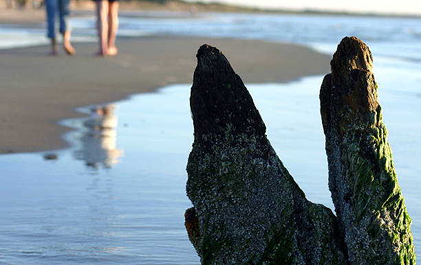 Passeggiata romantica sulla spiaggia - foto stock