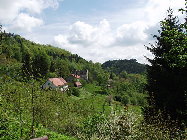istock Mountain village in Poland 92691158