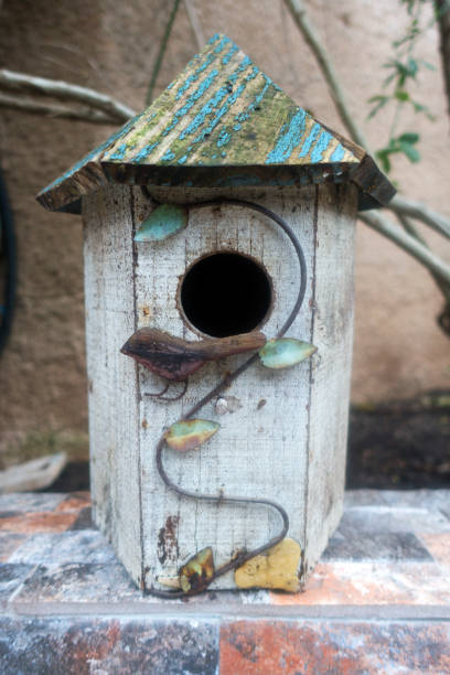 istock Wooden Birdhouse on a tree 926914530