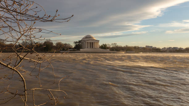 istock Waves on the Tidal Basin and buds on the cherry trees 926915012