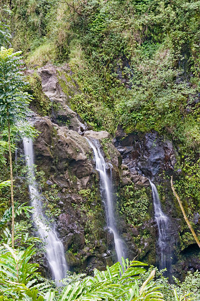 istock Puohokamoa Falls on Maui 92691561