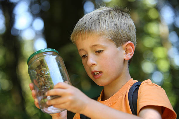 istock Young boy looking at insect in jar with forest in background 92691690