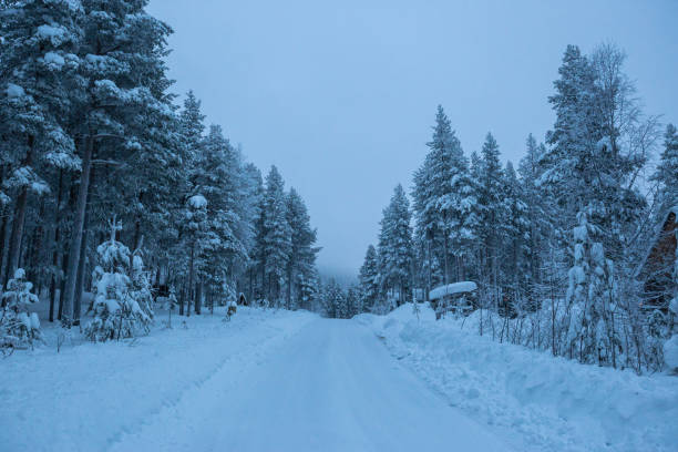 istock Snow covered road winds through the frozen Finnish forest 926921904