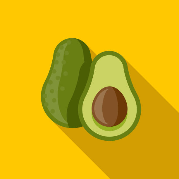 Avocado Flat Design Mexico Icon with Side Shadow A pastel colored flat design Mexico and Cinco de Mayo icon with a long side shadow. Color swatches are global so it’s easy to edit and change the colors. avocado stock illustrations