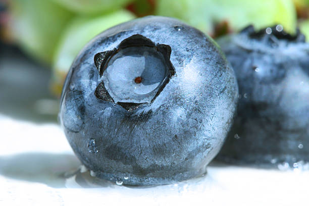 Closeup of a blueberry stock photo