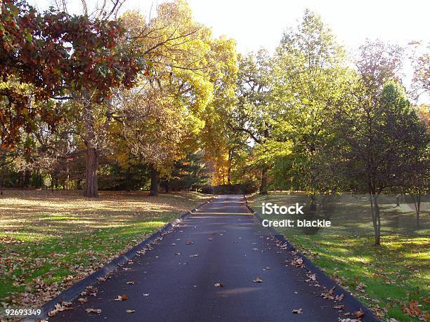 Осень Lane — стоковые фотографии и другие картинки Без людей - Без людей, Время года, Горизонтальный