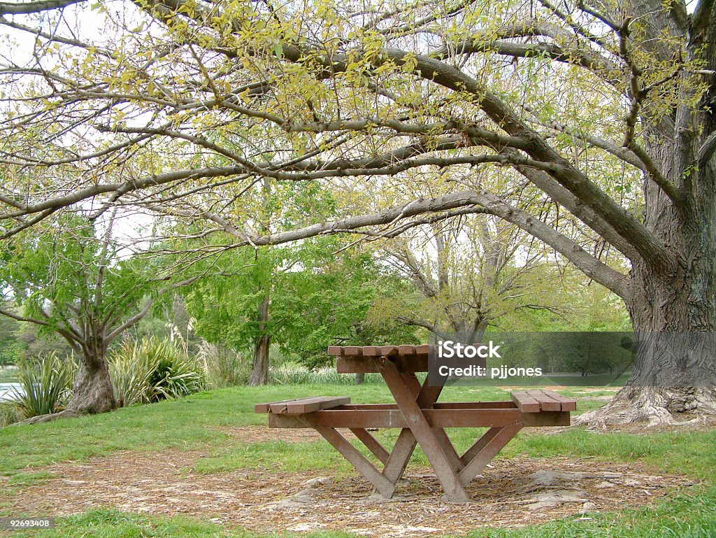 Mesa de jardín bajo el árbol - Foto de stock de Aire libre libre de derechos