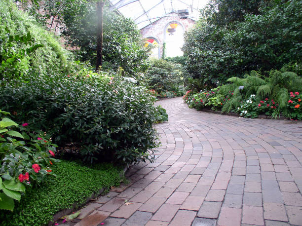 istock Greenhouse Lane 92693412