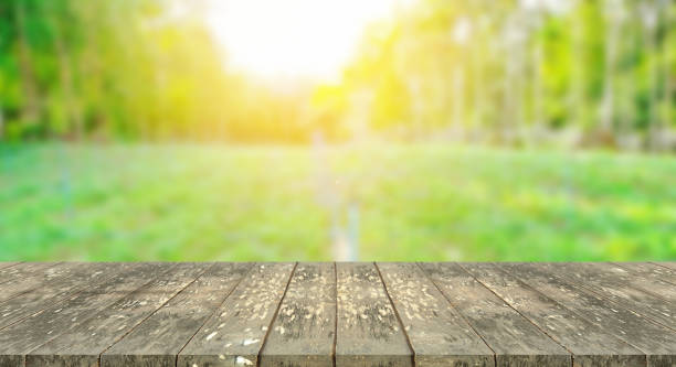 istock Wooden table top with blurred nature background 926936970
