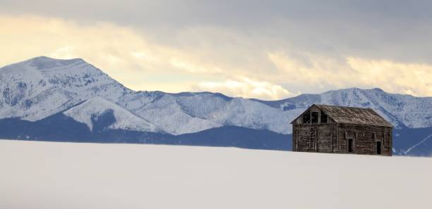 โรงนาบริดเซอร์ท่ามกลางหิมะ - bridger mountains ภาพสต็อก ภาพถ่ายและรูปภาพปลอดค่าลิขสิทธิ์