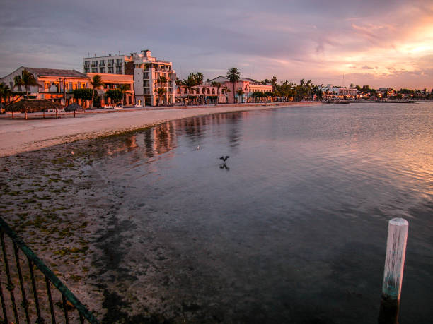 istock City of La Paz 926943788