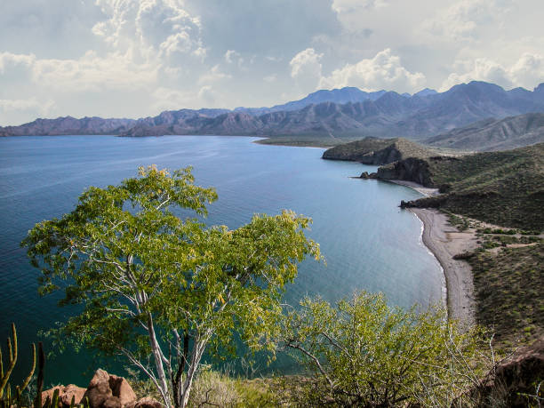 spettacolare costa della baja - majestic landscape arid climate beach foto e immagini stock