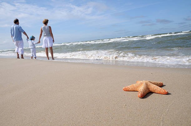 istock Starfish and tranquil family on the beach 92695441
