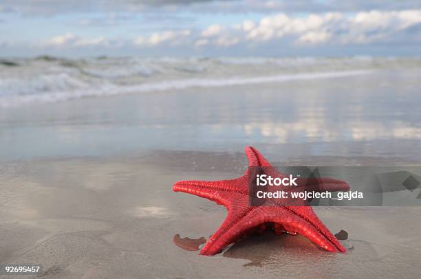 Seestern Am Strand Stockfoto und mehr Bilder von Abstrakt - Abstrakt, Bildhintergrund, Blau