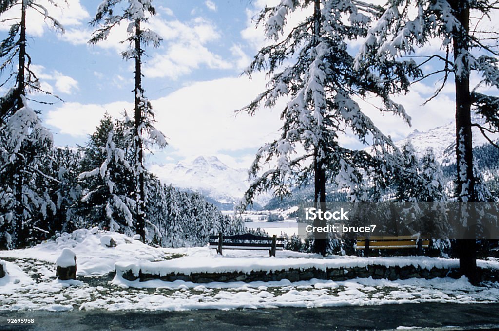 Florestas alpinas Snowscene - Foto de stock de Clima polar royalty-free