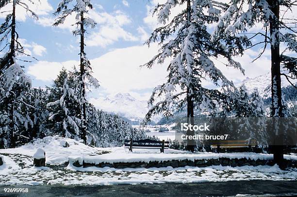 Foto de Florestas Alpinas Snowscene e mais fotos de stock de Clima polar - Clima polar, Exterior, Fotografia - Imagem