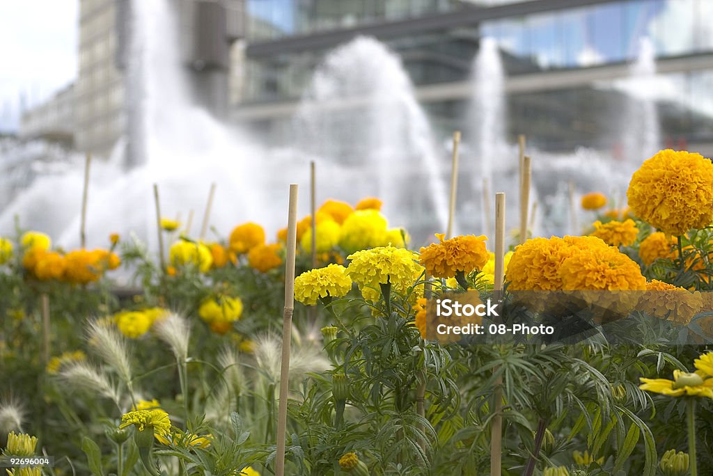 Fleurs dans Sergels Torg - Photo de Eau libre de droits