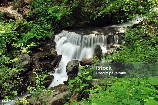 Foto de Bush Cachoeira e mais fotos de stock de Alto - Descrição Geral - Alto - Descrição Geral, Appalachia, Atividade Recreativa
