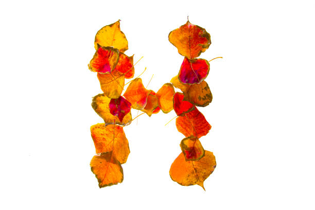 istock Characters made with autumn red leaves 926965190