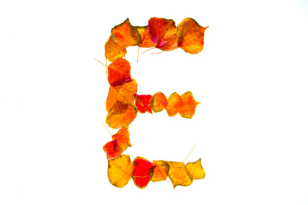 istock Characters made with autumn red leaves 926965210