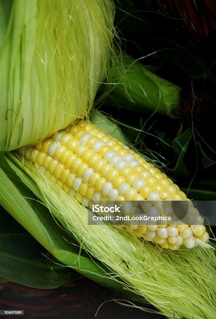 Abertura de milho - Foto de stock de Agricultura royalty-free