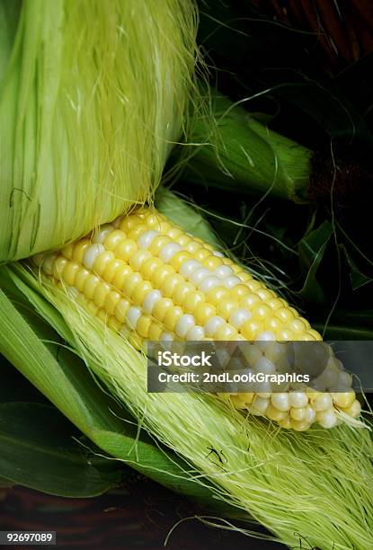 Foto de Abertura De Milho e mais fotos de stock de Agricultura - Agricultura, Alimentação Saudável, Amarelo