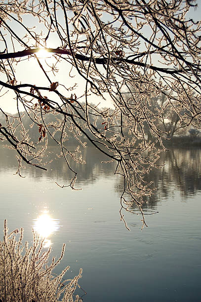 de invierno paisaje del río - winterlandschaft brandenburg fotografías e imágenes de stock