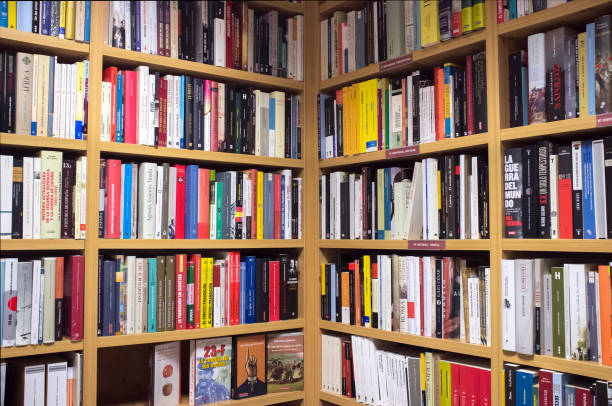 Badajoz, Spain - August 9th, 2017: Bookshop display full of Historical fiction and historical science books. Corner