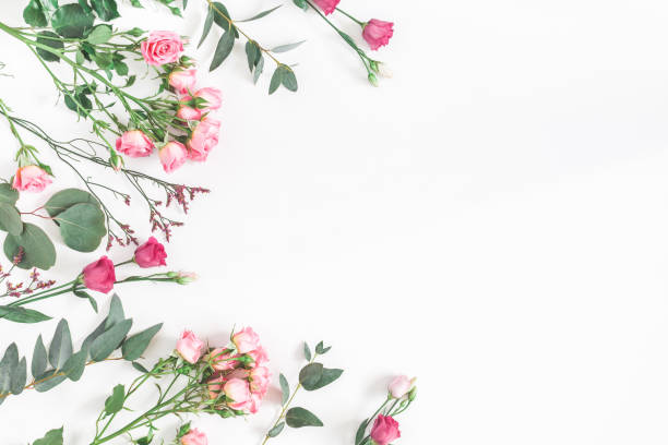 istock Pink flowers and eucalyptus branches. Flat lay, top view 926978428